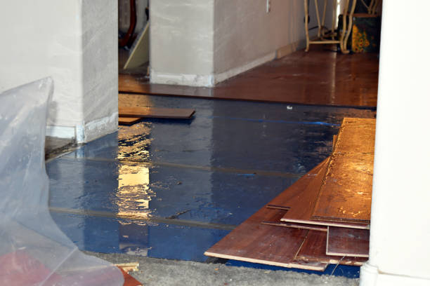Professional Basement Flood Cleanup technician working in Hartland, MI
